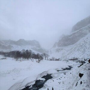 Meet your Posher, Grey